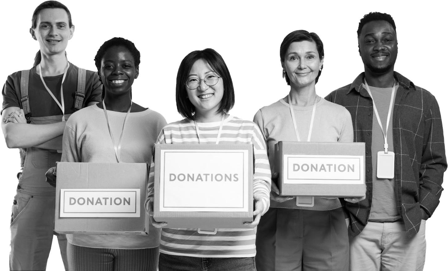 Cell System Fellowship - Life-Impact Network